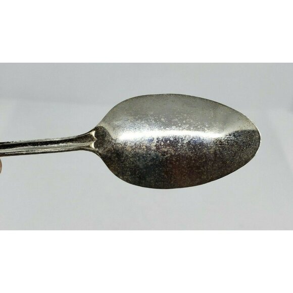 Reversing Falls Saint John NB Mini Collectible Spoon - Unique Home Décor - Picture 7 of 8